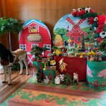 festa fazendinha 11