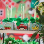 festa fazendinha 2