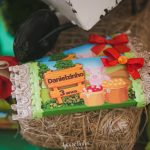 festa fazendinha 3