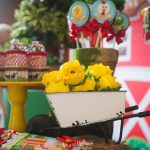 festa fazendinha 5